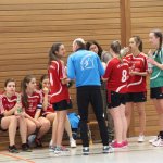2017_01_08 Landesliga Frauen u. J19